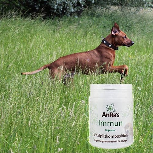 AnRa�s ImmunRegulator Hund 100 g Tiergesundheit Alle