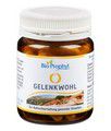 GELENKWOHL Kapseln