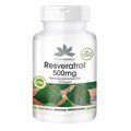 RESVERATROL 500 mg Kapseln