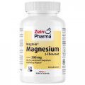 MAGTEIN Magnesium L-Threonat 500 mg Kps.ZeinPharma